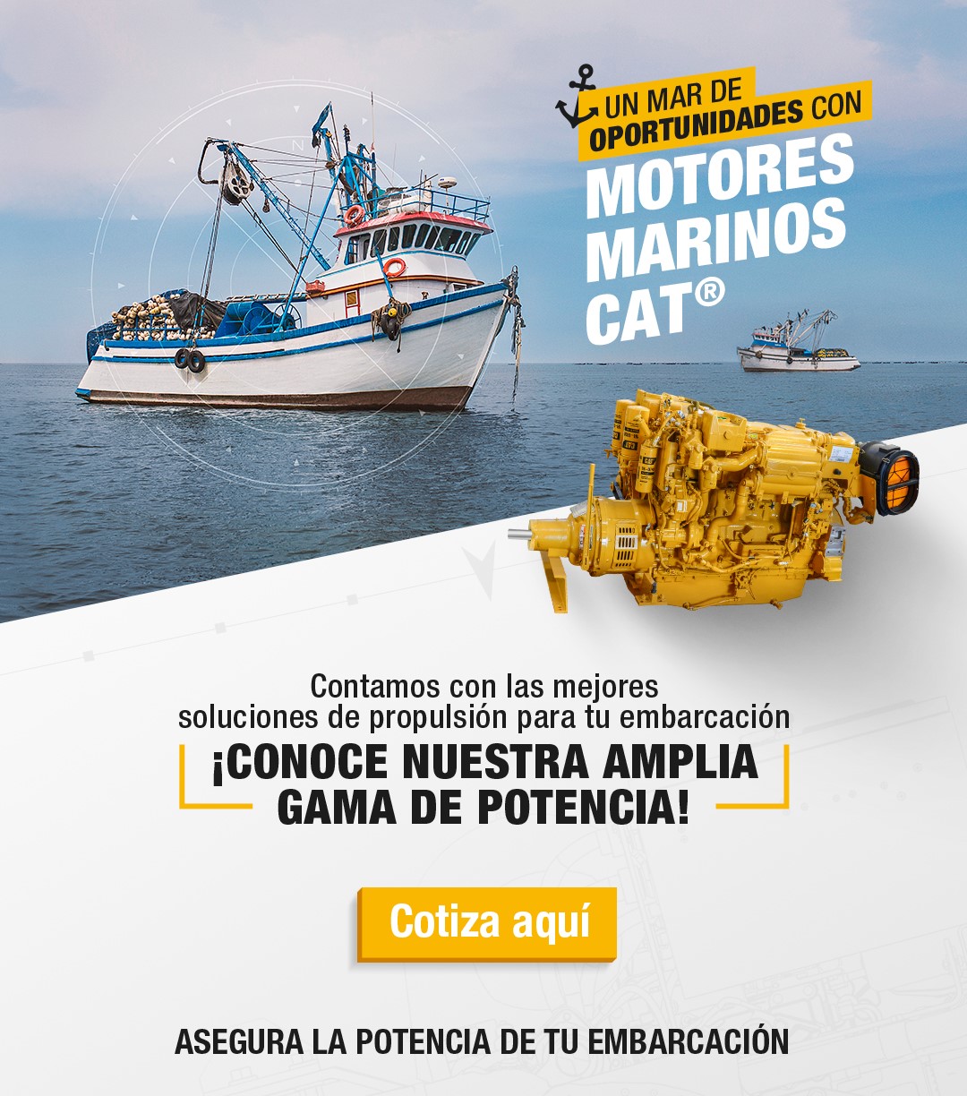 imagen del cotizador